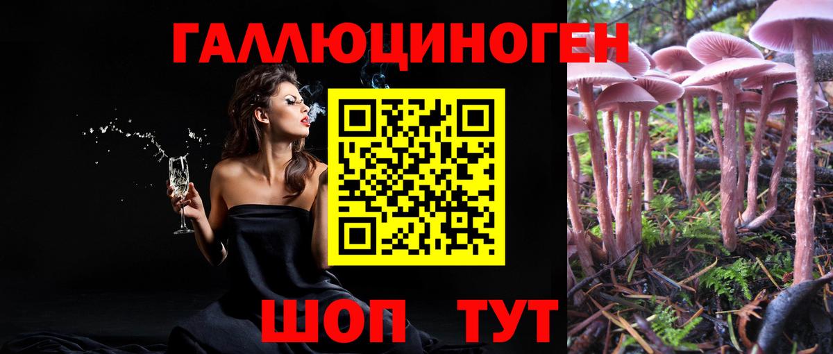 Псилоцибиновые грибы прущие грибы  Вход с VPN  Домодедово  Галлюциногенные грибы Cubensis 